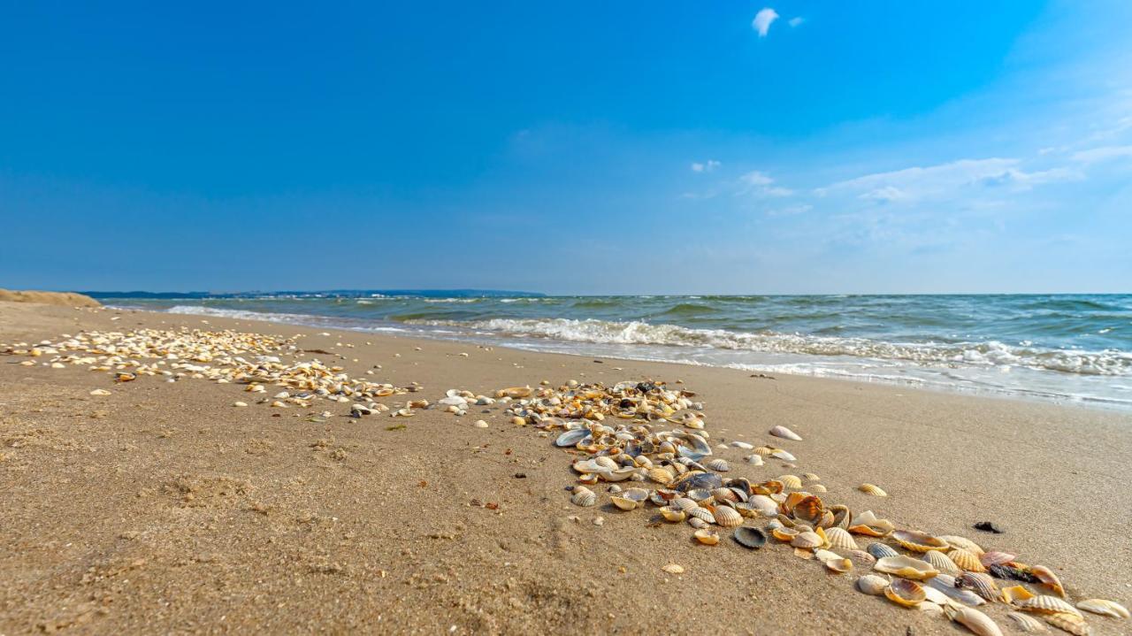 Strandurlaub Ruegen "Luett Matten" Apartment Binz Bagian luar foto